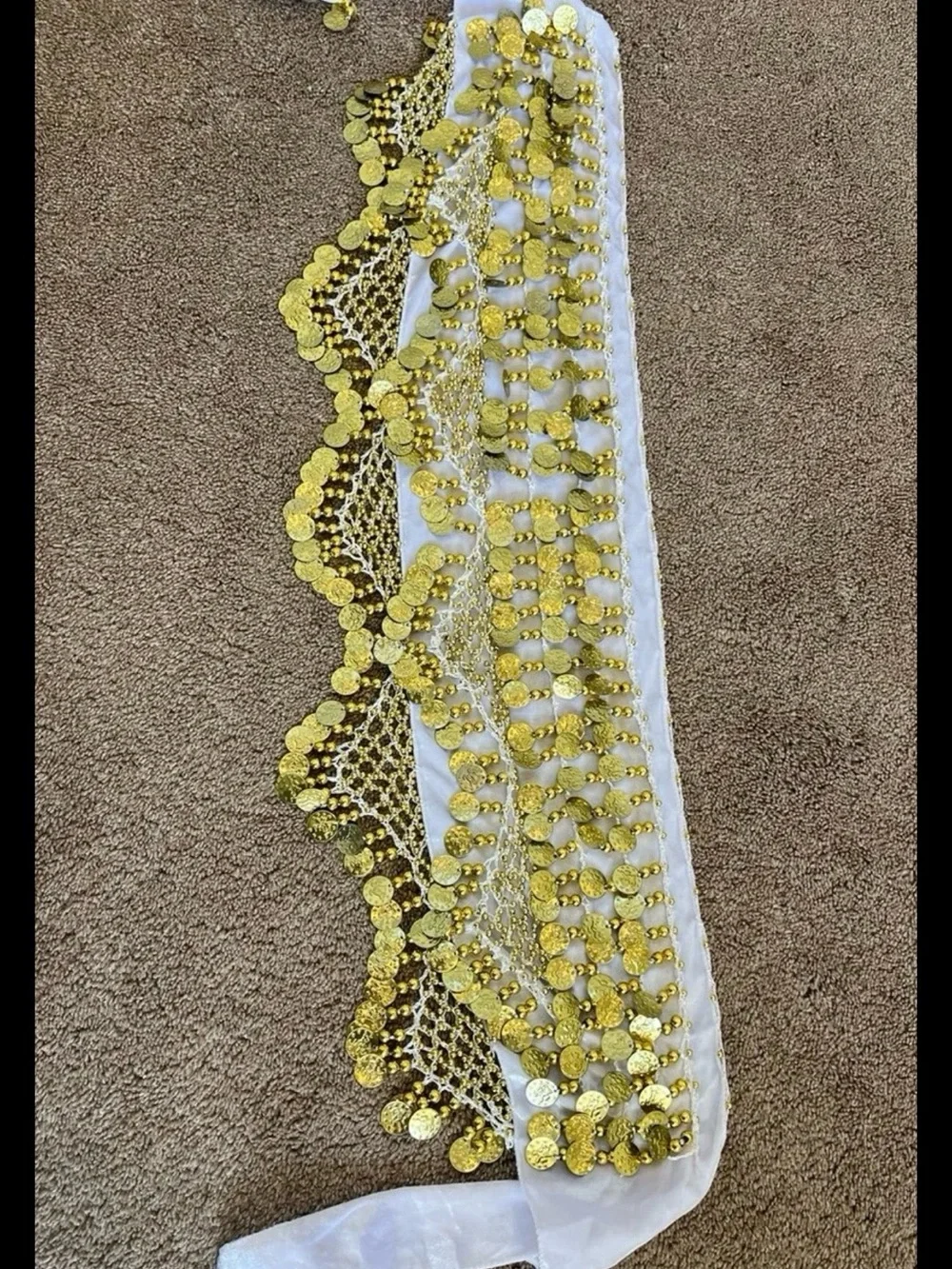 Women Belly Dance Hip Scarf with Coins Velvet Belly Dance Belt New